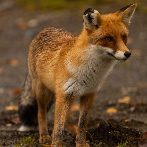 Photo #12834548