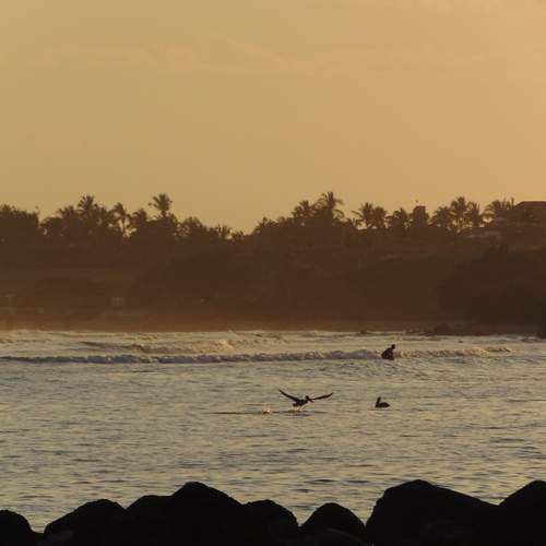 Photo #12834563