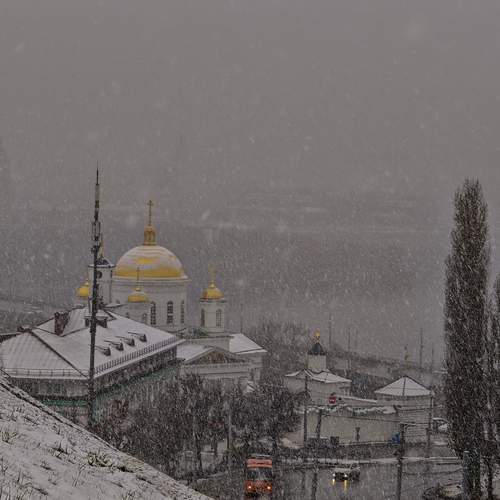 Photo #12834582