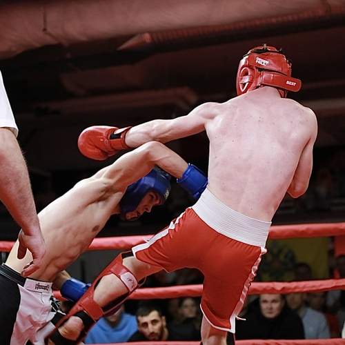 Photo #12835182