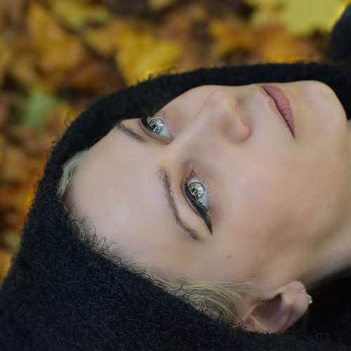 Photo #12835279