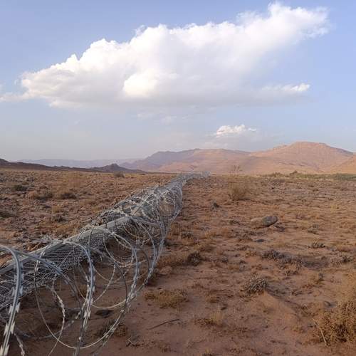 Photo #12835362