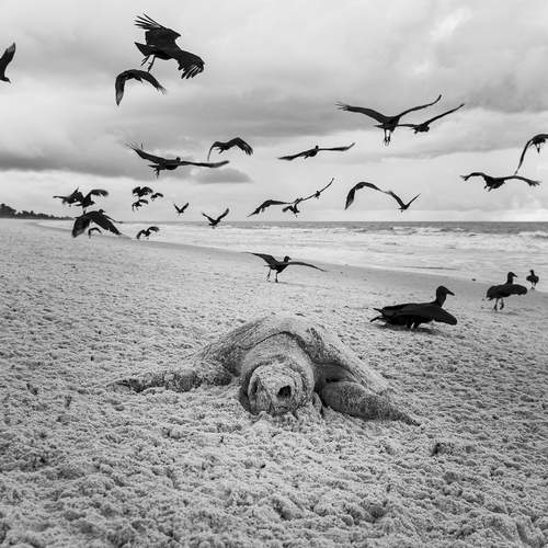 When the sea stops breathing