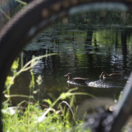 Photo #12835671