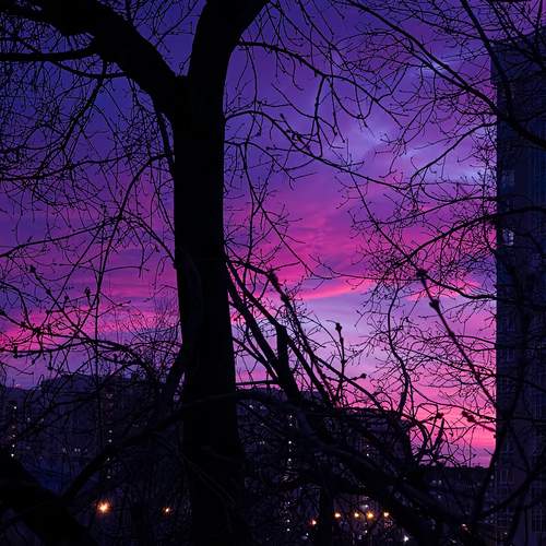 Photo #12835758