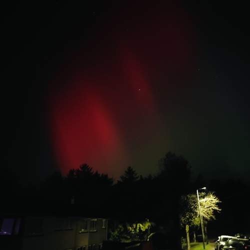 Photo #12835970