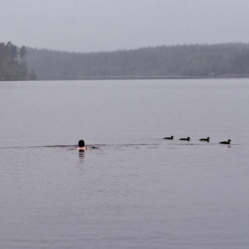 Photo #12836071