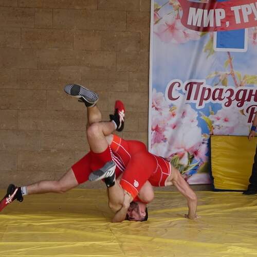 Photo #12836293