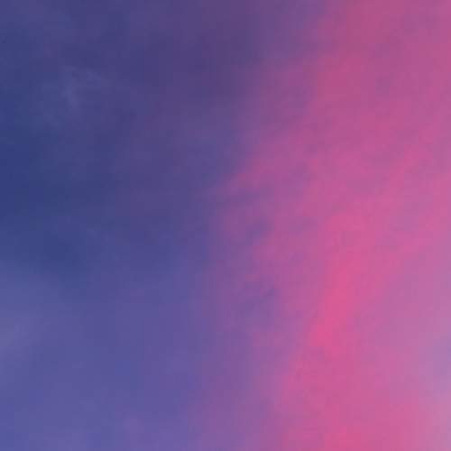 Photo #12837150