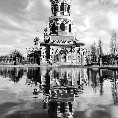 Photo #12837282