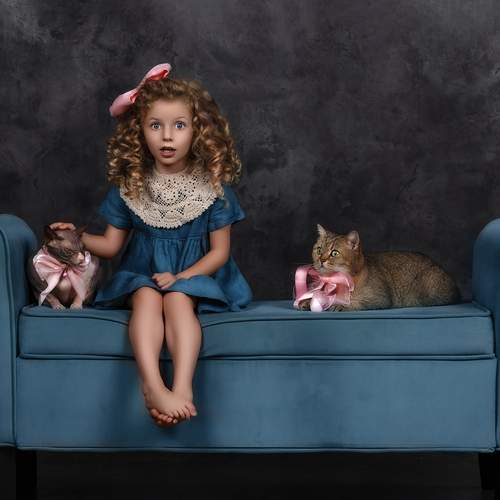 Photo #12837307
