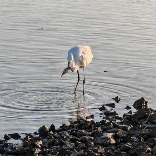 Photo #12837513