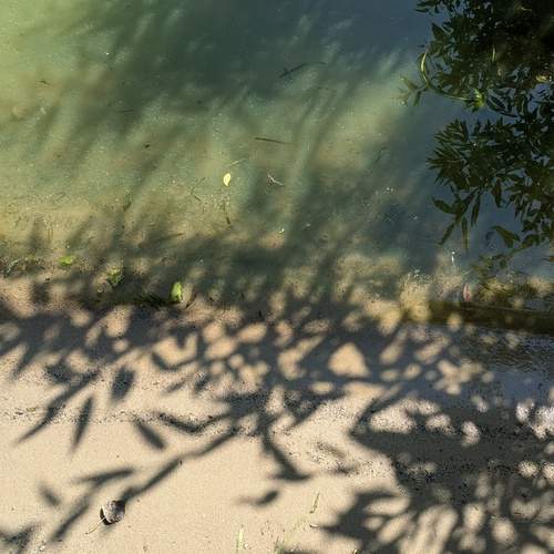 Sun.Air.Water.