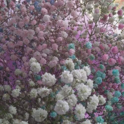 Photo #12837659