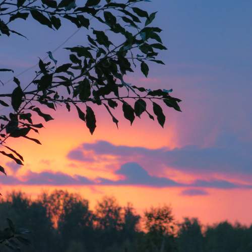 Photo #12837891