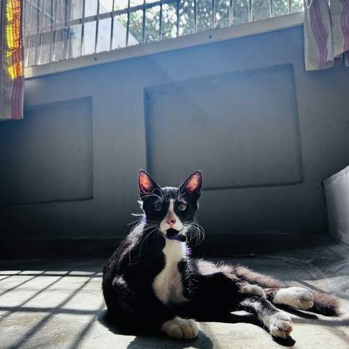 Photo #12838174
