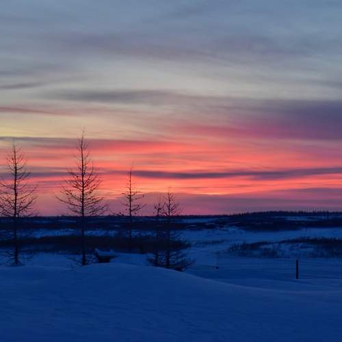 Photo #12838322