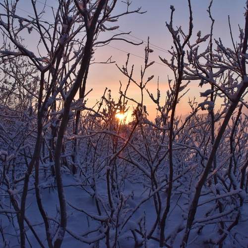 Photo #12838349