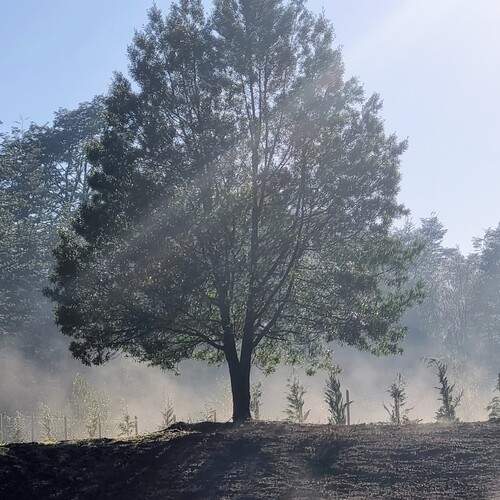 Photo #12838412