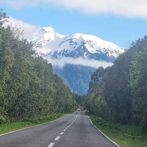 Photo #12838422