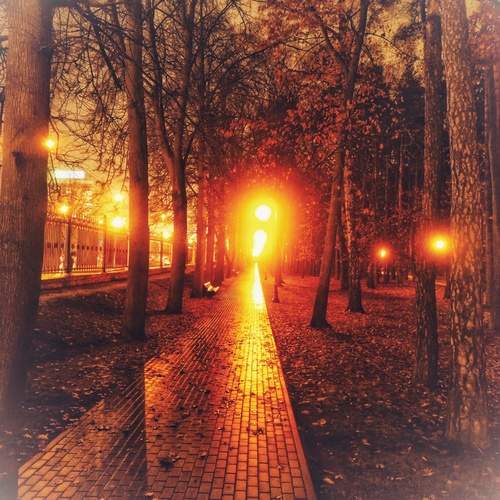 Photo #12839051