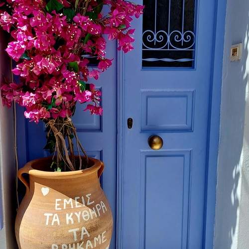 Eternal sunshine in pink and blue