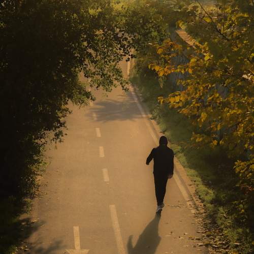 Photo #12839488