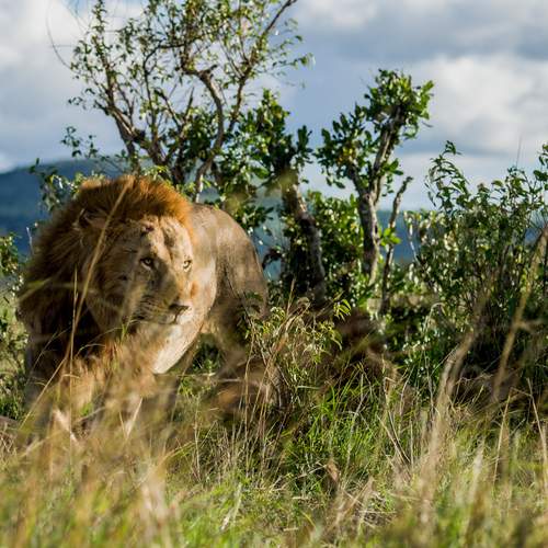 Photo #12839594