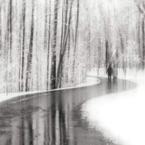 Photo #12839658