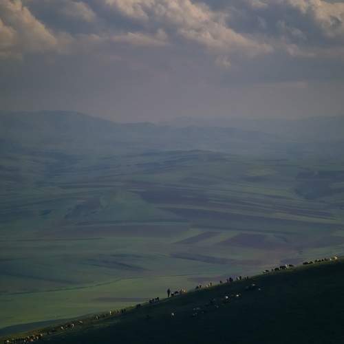 Photo #12839720