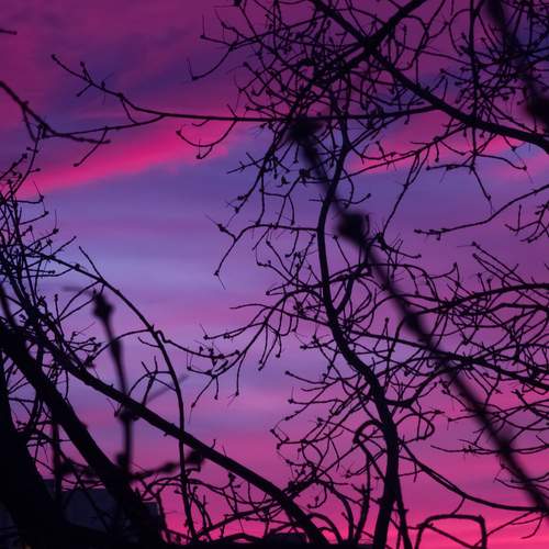 Photo #12840242
