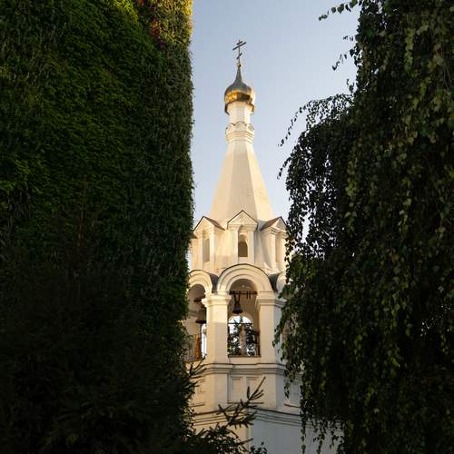 Photo #12840243