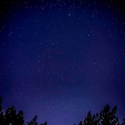 Photo #12840285