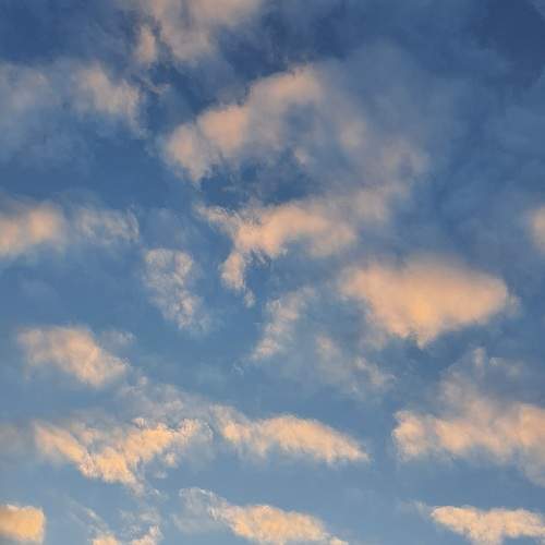 Photo #12840293