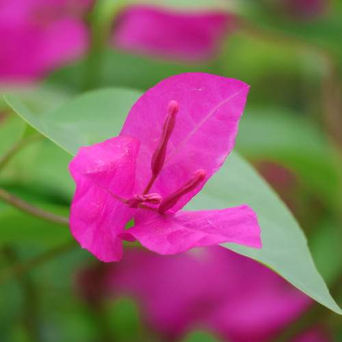 Photo #12840316