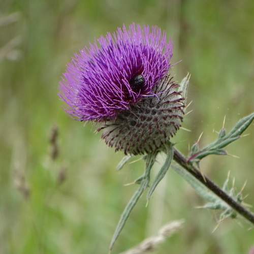 Photo #12840337