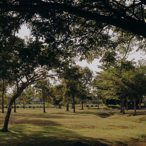 Photo #12841339