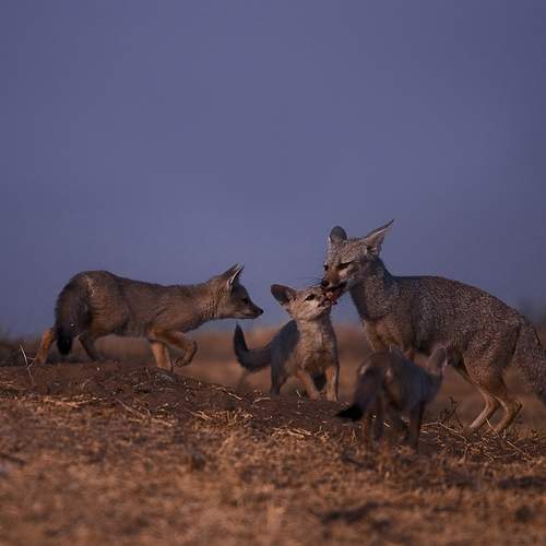 Photo #12841368