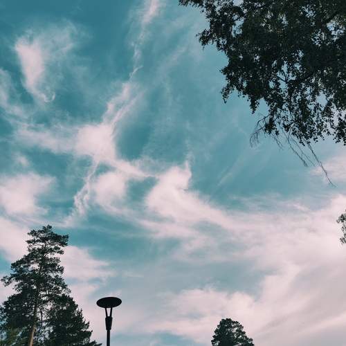 Photo #12842232