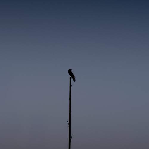 Photo #12842296