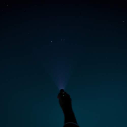 Photo #12842602