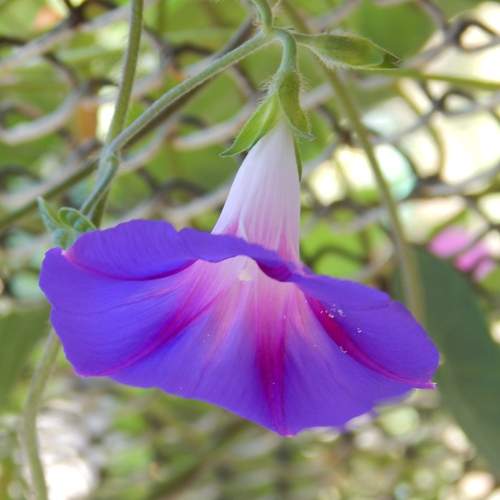 Photo #12842642