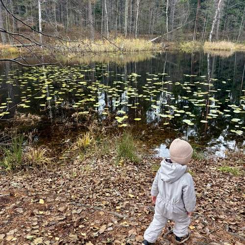 Photo #12842740