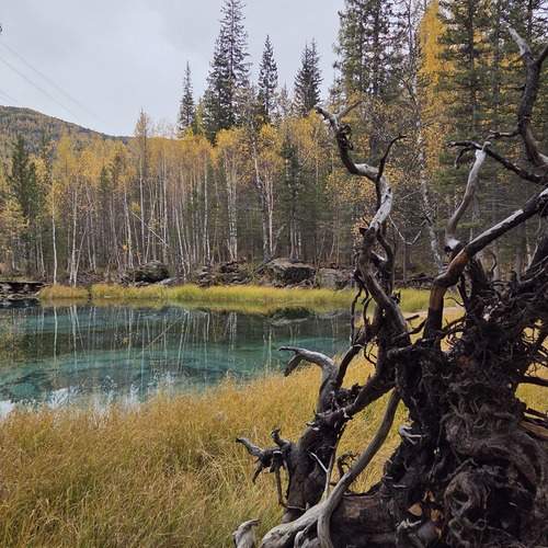 Photo #12842828