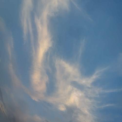 Photo #12842935
