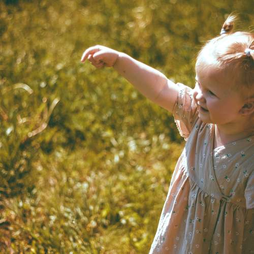 Photo #12842998