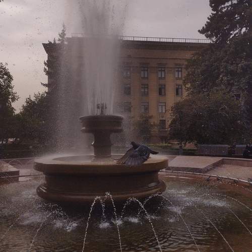 Photo #12843009