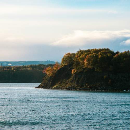 Photo #12843020