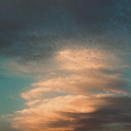 Photo #12843098