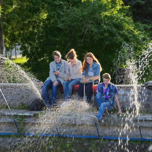 Photo #12843332